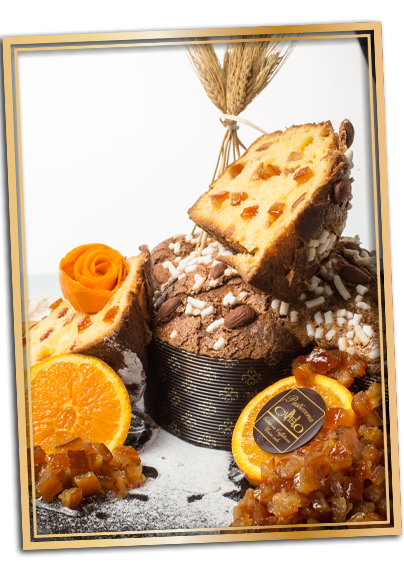 colomba-classica